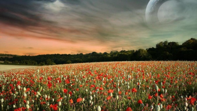 女朋友送的switch被亲戚要求送小孩我该怎么办？